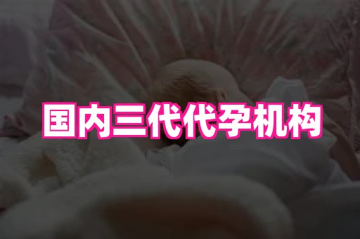 点点助孕网 1