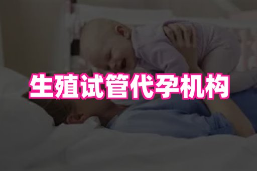 点点助孕网 2