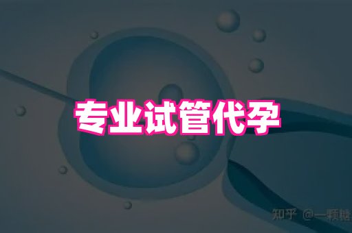 点点助孕网 4